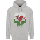 Wales Skull Welsh Gym Biker Flag Childrens Kids Hoodie Sports Grey
