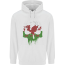 Wales Skull Welsh Gym Biker Flag Childrens Kids Hoodie White