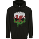 Wales Skull Welsh Gym Biker Flag Mens 80% Cotton Hoodie Black