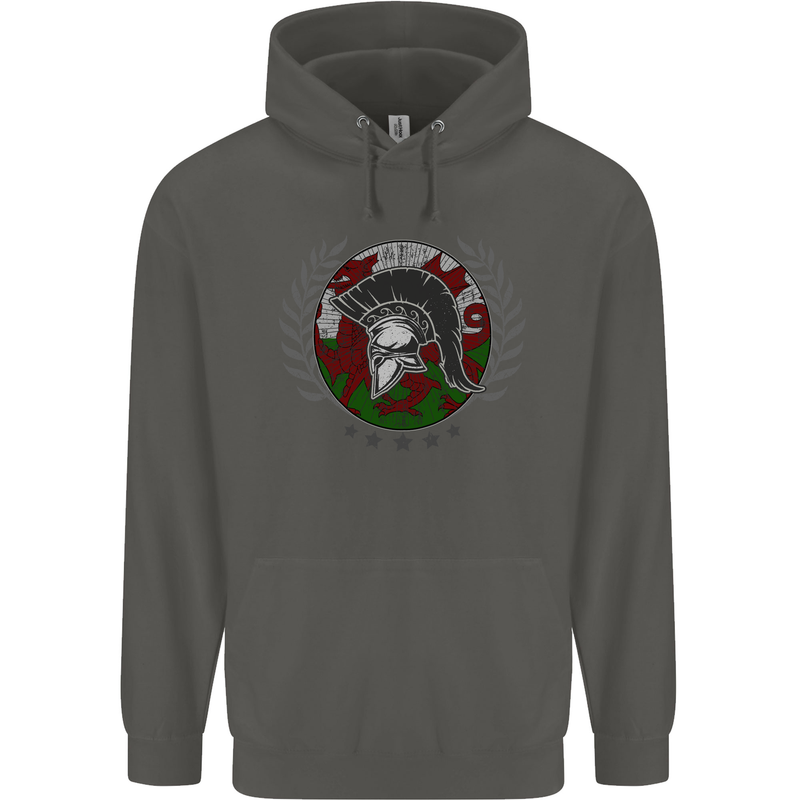 Welsh Bodybuilding Flag Gym Training Wales Childrens Kids Hoodie Storm Grey