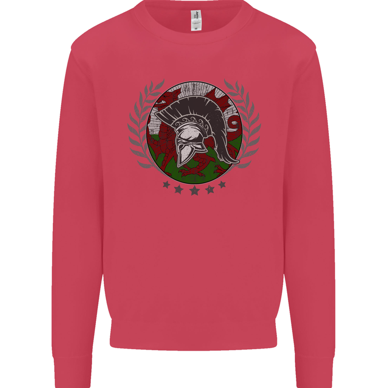 Welsh Bodybuilding Flag Gym Training Wales Kids Sweatshirt Jumper Heliconia