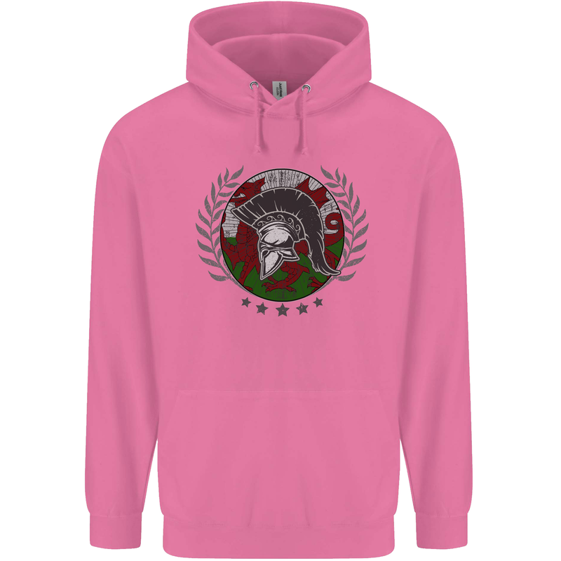 Welsh Bodybuilding Flag Gym Training Wales Mens 80% Cotton Hoodie Azelea