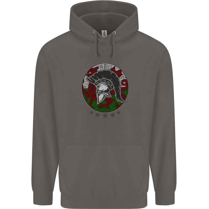 Welsh Bodybuilding Flag Gym Training Wales Mens 80% Cotton Hoodie Charcoal
