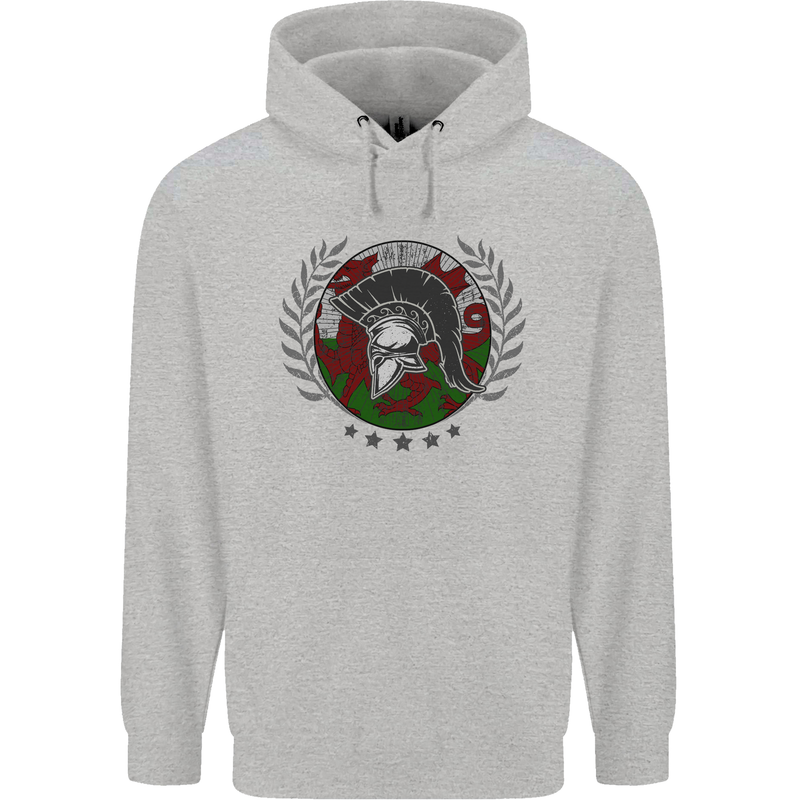 Welsh Bodybuilding Flag Gym Training Wales Mens 80% Cotton Hoodie Sports Grey