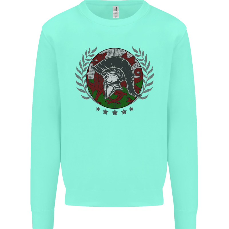 Welsh Bodybuilding Flag Gym Training Wales Mens Sweatshirt Jumper Peppermint