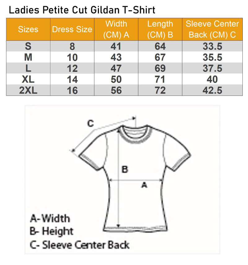 Youre Looking at an Awesome Analyst Womens Petite Cut T-Shirt