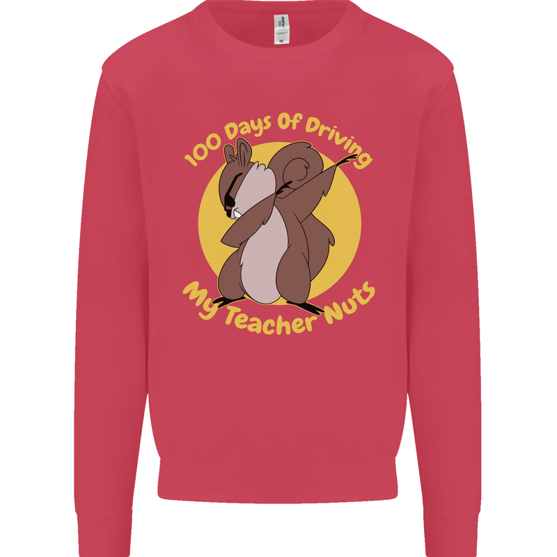 100 Days of Driving My Teacher Nuts Kids Sweatshirt Jumper Heliconia