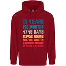 13th Birthday 13 Year Old Childrens Kids Hoodie Red