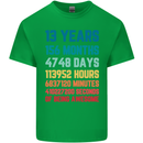 13th Birthday 13 Year Old Kids T-Shirt Childrens Irish Green