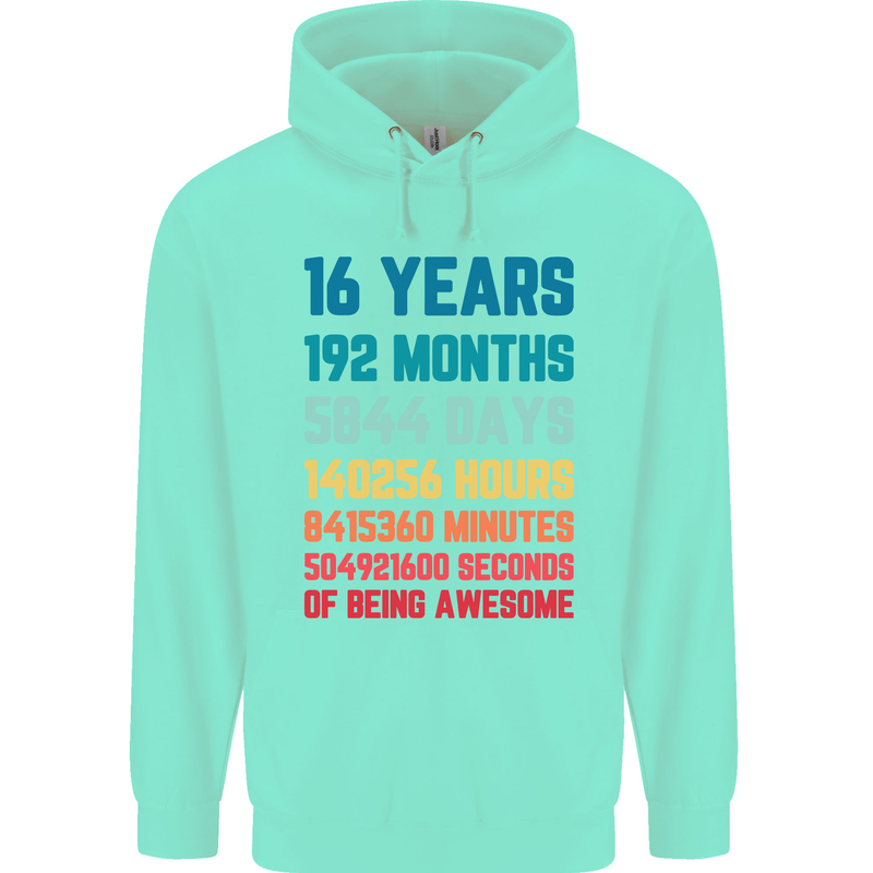 16th Birthday 16 Year Old Mens 80% Cotton Hoodie Peppermint