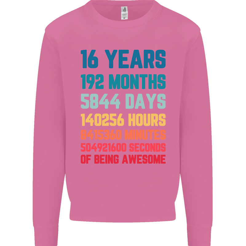 16th Birthday 16 Year Old Mens Sweatshirt Jumper Azalea