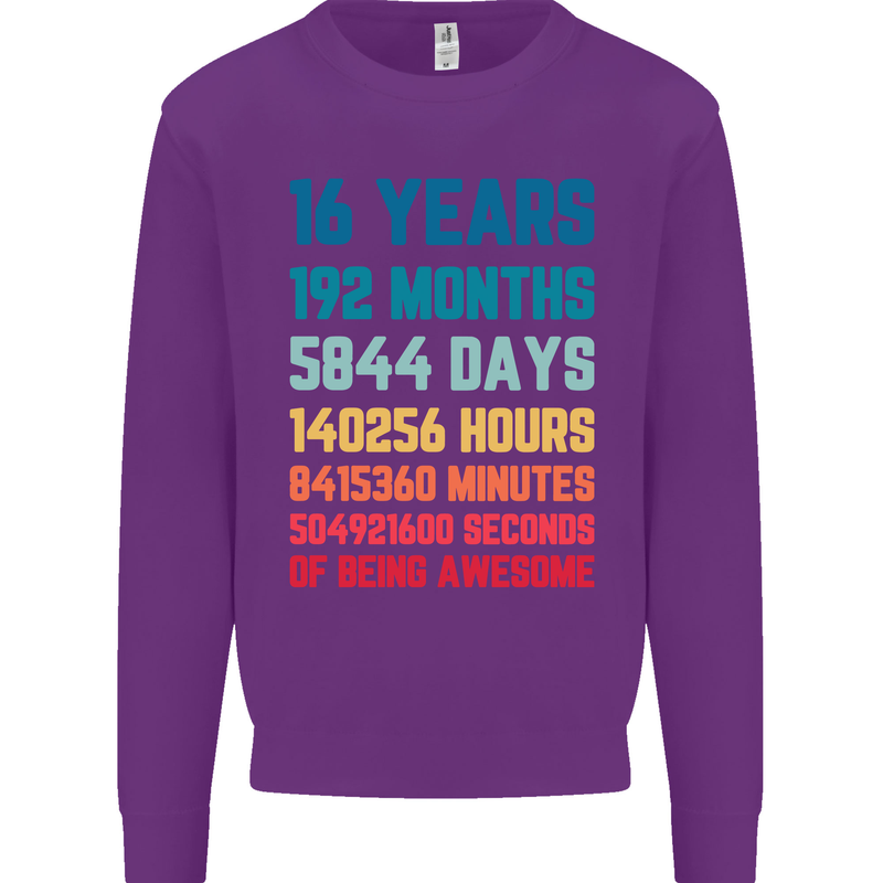16th Birthday 16 Year Old Mens Sweatshirt Jumper Purple