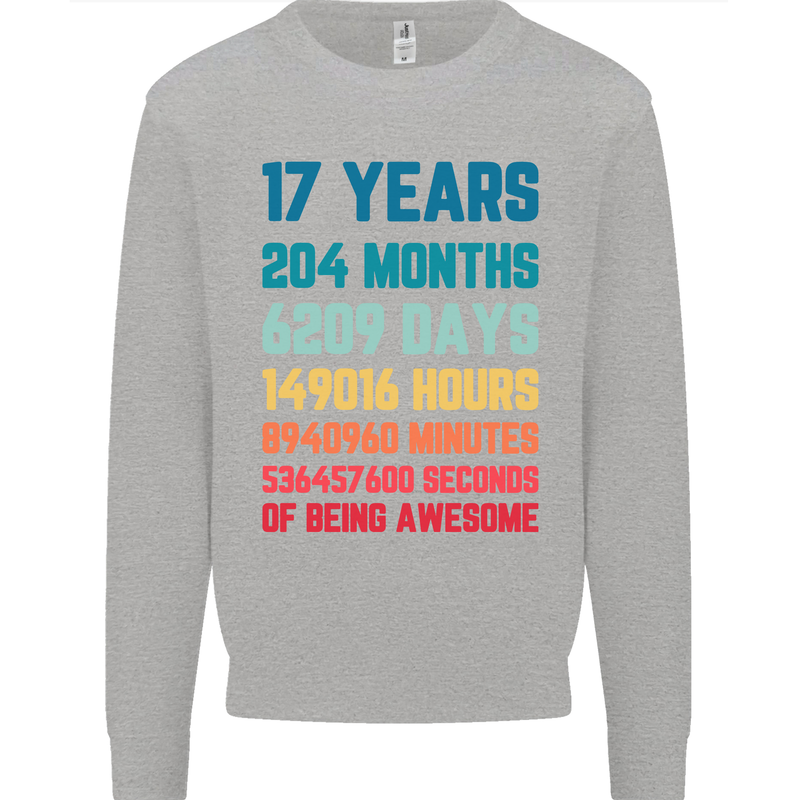 17th Birthday 17 Year Old Mens Sweatshirt Jumper Sports Grey
