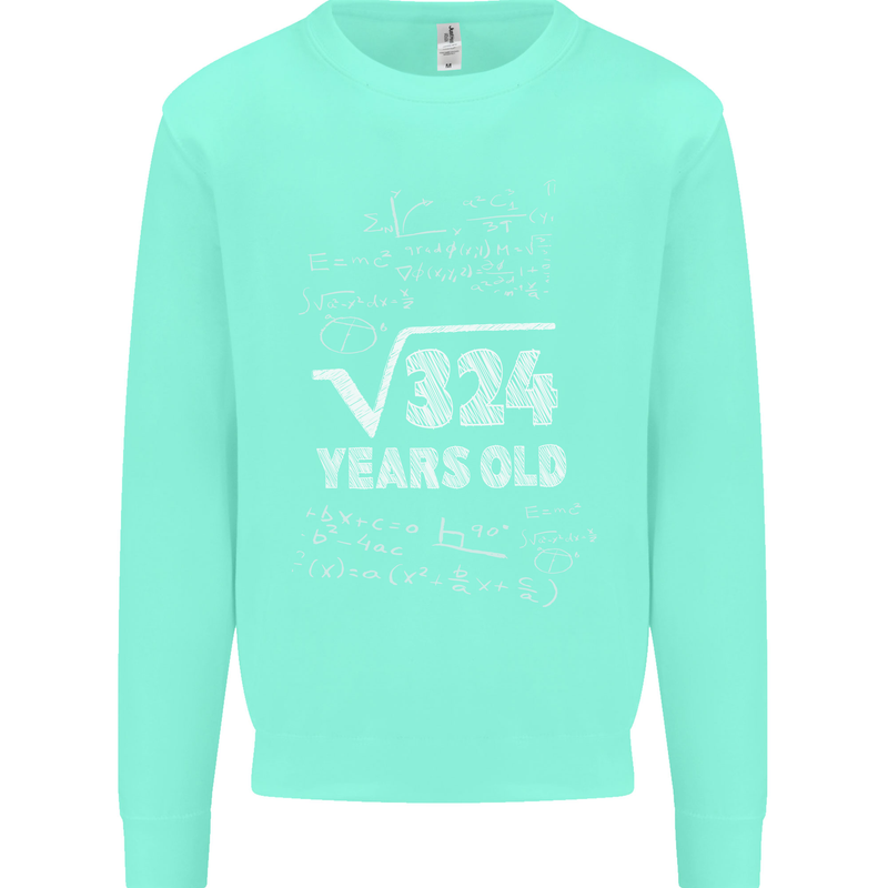 18th Birthday 18 Year Old Geek Funny Maths Mens Sweatshirt Jumper Peppermint