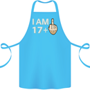 18th Birthday Funny Offensive 18 Year Old Cotton Apron 100% Organic Turquoise