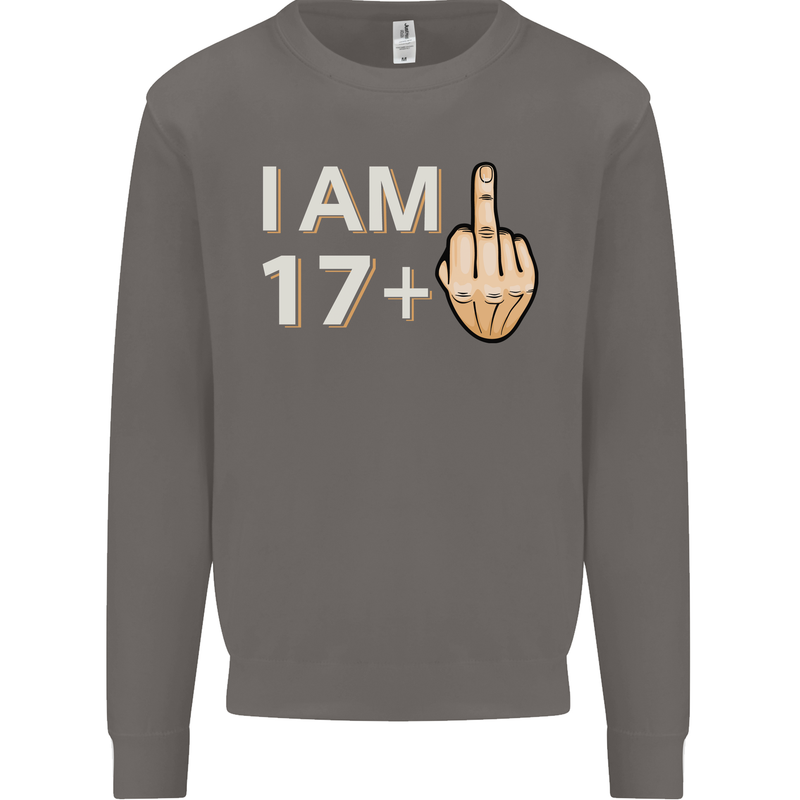 18th Birthday Funny Offensive 18 Year Old Mens Sweatshirt Jumper Charcoal