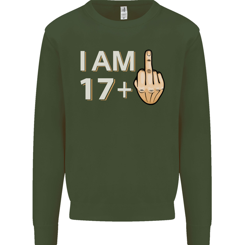 18th Birthday Funny Offensive 18 Year Old Mens Sweatshirt Jumper Forest Green