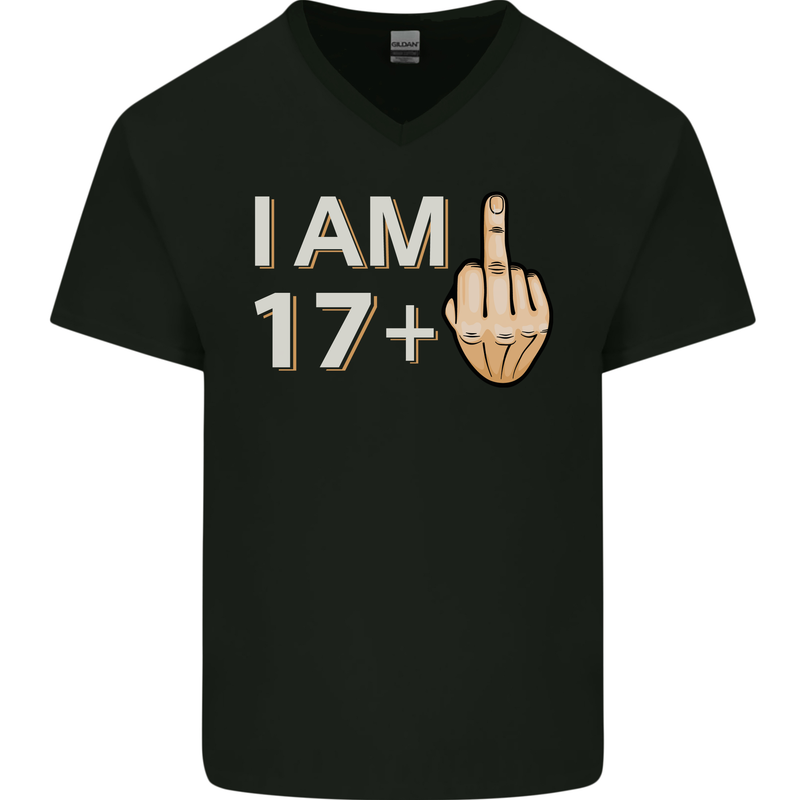 18th Birthday Funny Offensive 18 Year Old Mens V-Neck Cotton T-Shirt Black