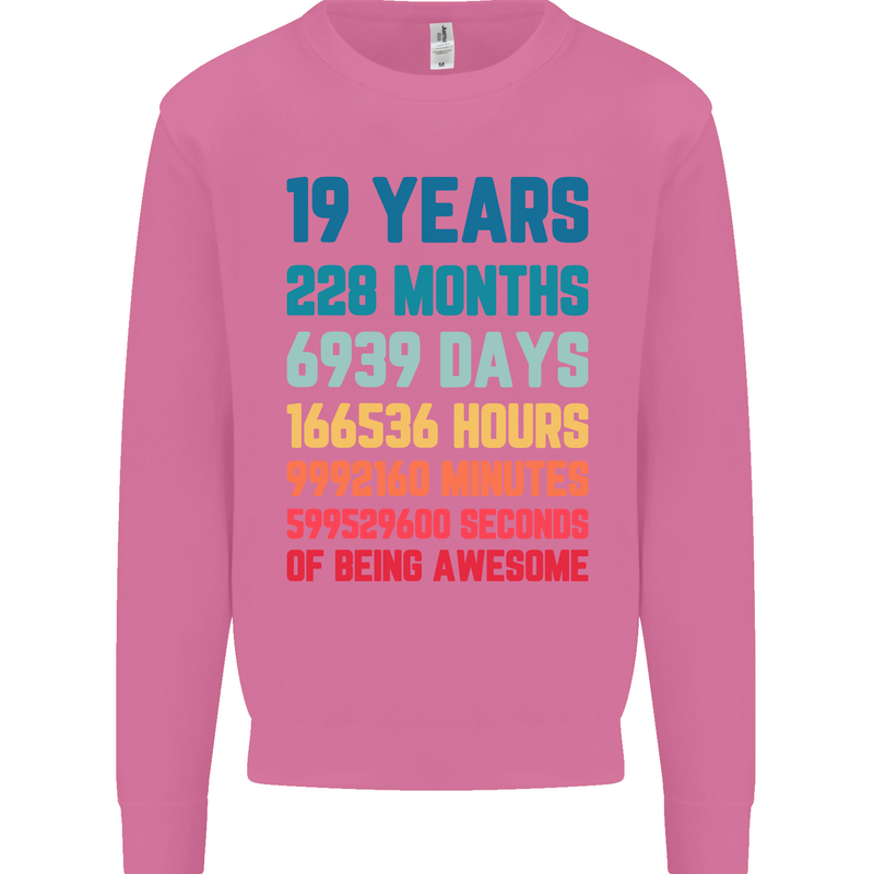 19th Birthday 19 Year Old Mens Sweatshirt Jumper Azalea