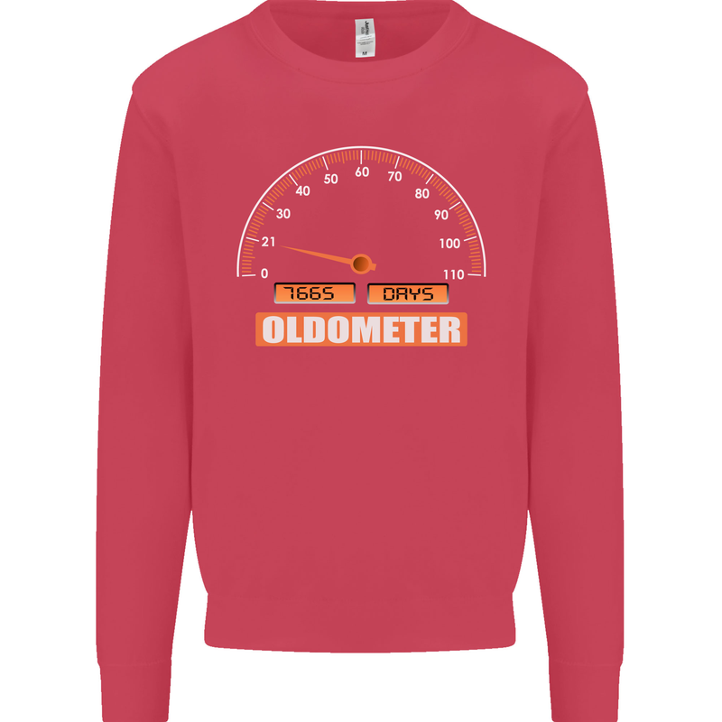 21st Birthday 21 Year Old Ageometer Funny Mens Sweatshirt Jumper Heliconia