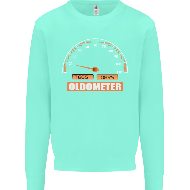 21st Birthday 21 Year Old Ageometer Funny Mens Sweatshirt Jumper Peppermint