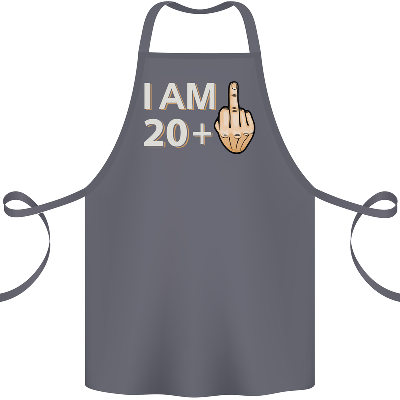 21st Birthday Funny Offensive 21 Year Old Cotton Apron 100% Organic Steel