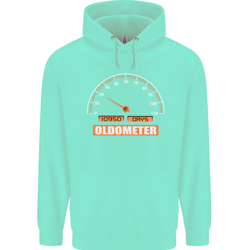 30th Birthday 30 Year Old Ageometer Funny Mens 80% Cotton Hoodie Peppermint