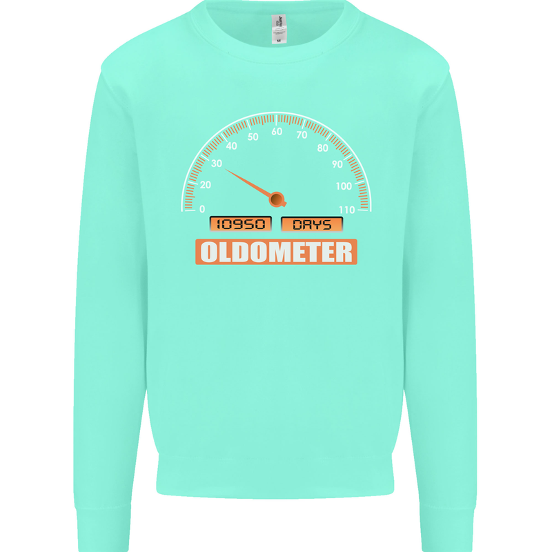 30th Birthday 30 Year Old Ageometer Funny Mens Sweatshirt Jumper Peppermint