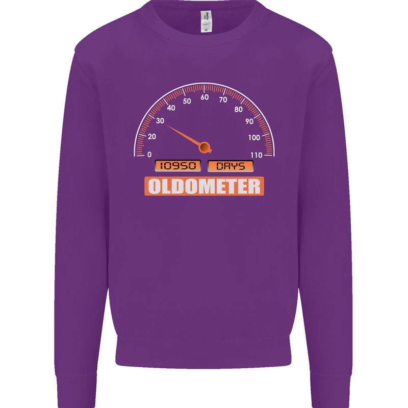 30th Birthday 30 Year Old Ageometer Funny Mens Sweatshirt Jumper Purple