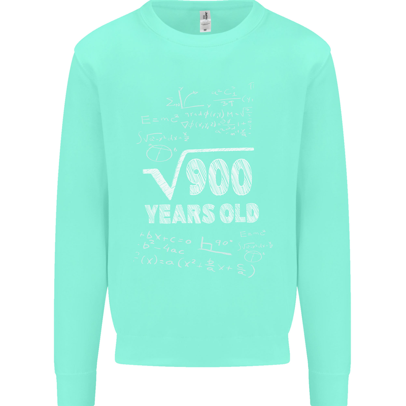 30th Birthday 30 Year Old Geek Funny Maths Mens Sweatshirt Jumper Peppermint