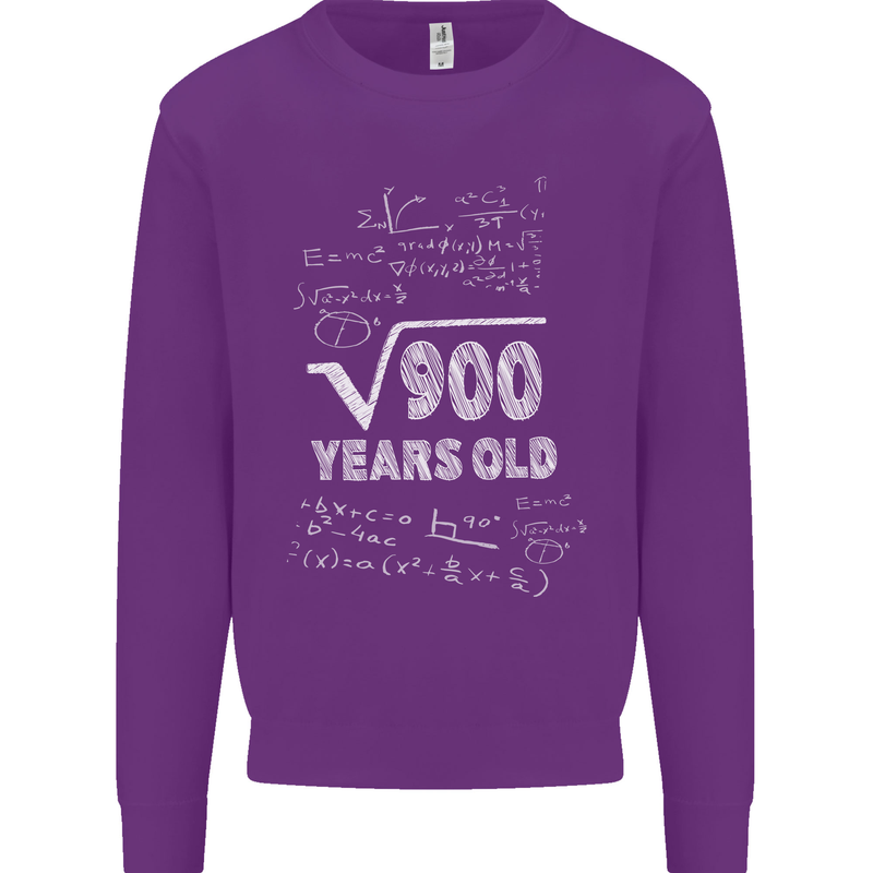 30th Birthday 30 Year Old Geek Funny Maths Mens Sweatshirt Jumper Purple