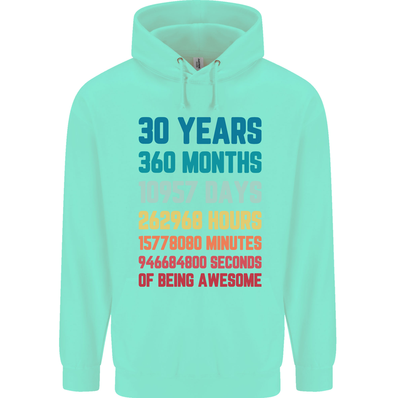 30th Birthday 30 Year Old Mens 80% Cotton Hoodie Peppermint