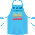 38th Birthday 38 Year Old Cotton Apron 100% Organic Turquoise