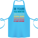 38th Birthday 38 Year Old Cotton Apron 100% Organic Turquoise