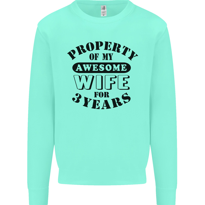 3rd Wedding Anniversary 3 Year Funny Wife Mens Sweatshirt Jumper Peppermint