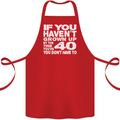 40th Birthday 40 Year Old Don't Grow Up Funny Cotton Apron 100% Organic Red
