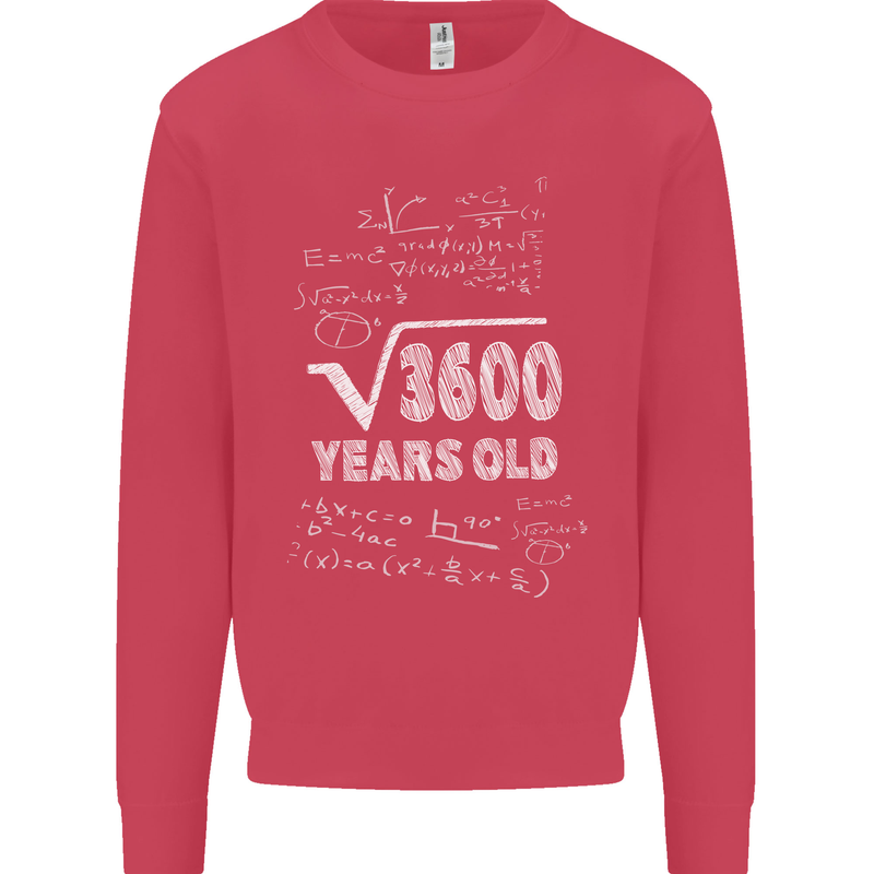 60th Birthday 60 Year Old Geek Funny Maths Mens Sweatshirt Jumper Heliconia