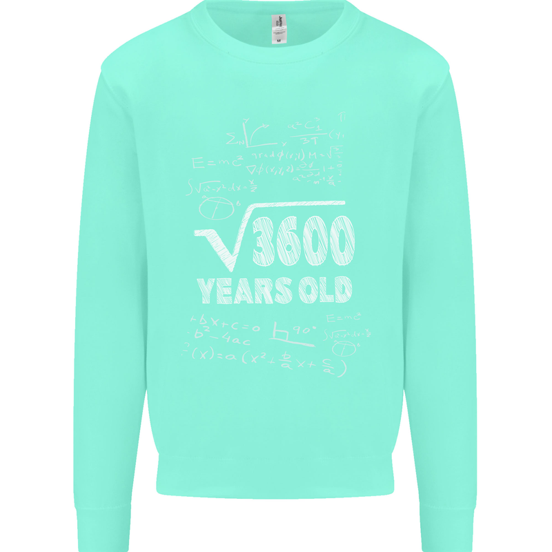 60th Birthday 60 Year Old Geek Funny Maths Mens Sweatshirt Jumper Peppermint