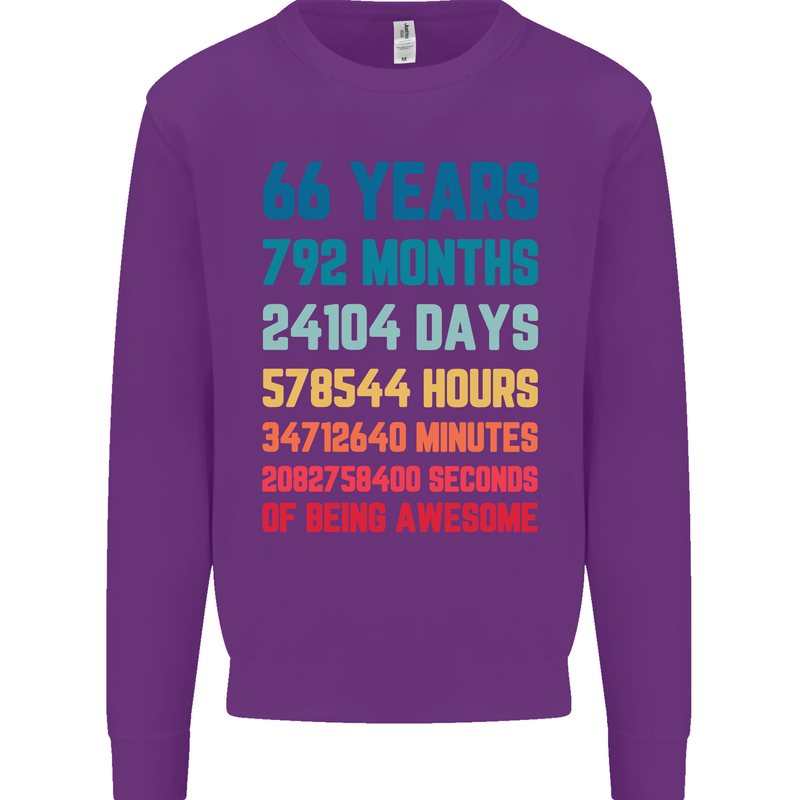 66th Birthday 66 Year Old Mens Sweatshirt Jumper Purple
