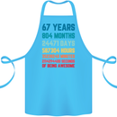 67th Birthday 67 Year Old Cotton Apron 100% Organic Turquoise
