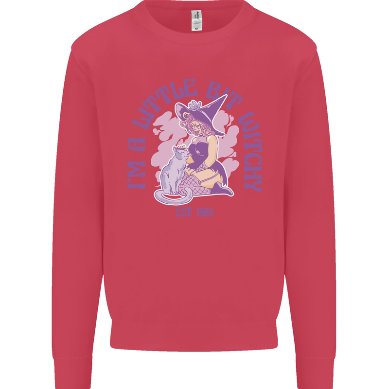 A Bit Witchy Funny Halloween Cat  Witch Kids Sweatshirt Jumper Heliconia