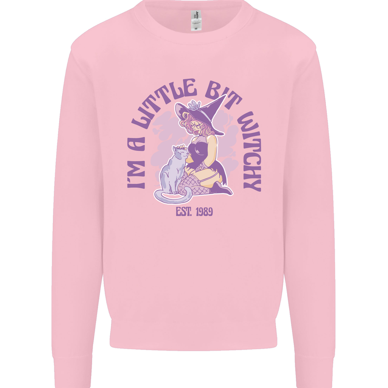 A Bit Witchy Funny Halloween Cat  Witch Mens Sweatshirt Jumper Light Pink