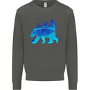 A Blue Flame Grizzly Bear Kids Sweatshirt Jumper Storm Grey