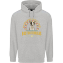 A Boston Terrier Dog Childrens Kids Hoodie Sports Grey