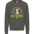 A Bull Terrier Dog Kids Sweatshirt Jumper Storm Grey
