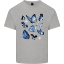 A Butterfly Collection Rhopalocera Mens Cotton T-Shirt Tee Top Sports Grey
