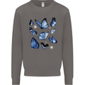 A Butterfly Collection Rhopalocera Mens Sweatshirt Jumper Charcoal