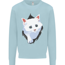 A Cat Rip Kids Sweatshirt Jumper Light Blue
