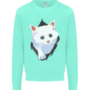 A Cat Rip Kids Sweatshirt Jumper Peppermint