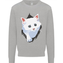 A Cat Rip Kids Sweatshirt Jumper Sports Grey